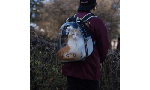 Cat-Carrier-Backpacks