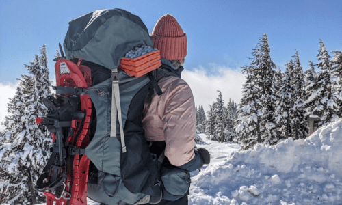 Hiking Backpack