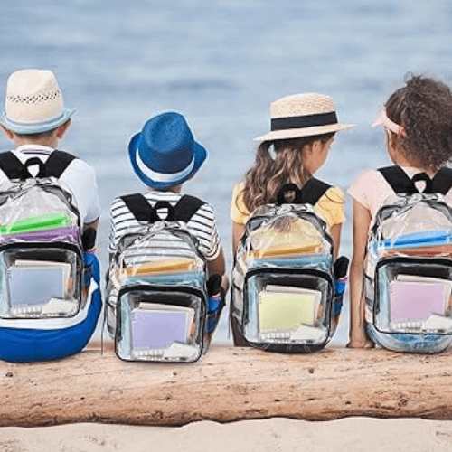 Best Clear Backpacks